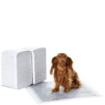 Oferton: Amazon Basics Almohadillas de adiestramiento de perros y cachorros, carbón para control de olor, a prueba de fugas con superficie de secado rápido, regular, 120 unidades, Gris