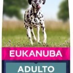 Oferton: Eukanuba Alimento seco para Perros Adultos Grandes, Rico en Salmón y Cebada, 12 kg