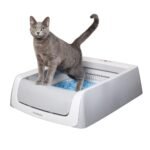 Oferton: PetSafe ScoopFree, Arenero para Gatos Autolimpiable, Arenero Automático Sin Cubierta, Incluye Bandejas Desechables de Arena de Cristal, Elimina Olores, Control de Salud, 2ª Generación